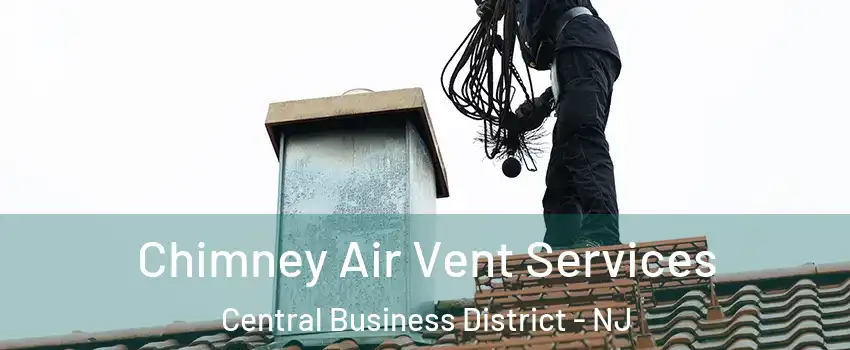 Chimney Air Vent Services Central Business District - NJ