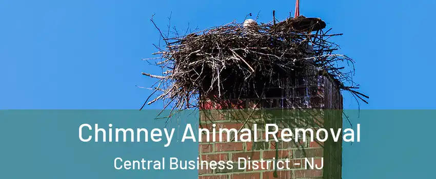 Chimney Animal Removal Central Business District - NJ