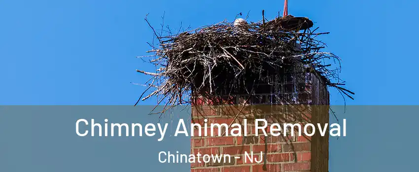 Chimney Animal Removal Chinatown - NJ