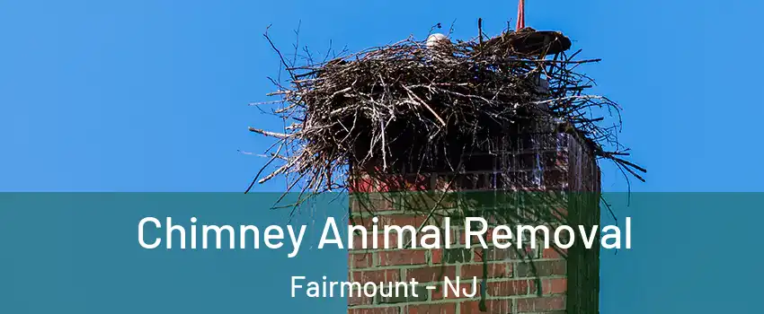 Chimney Animal Removal Fairmount - NJ