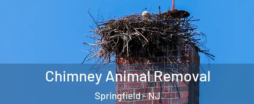 Chimney Animal Removal Springfield - NJ