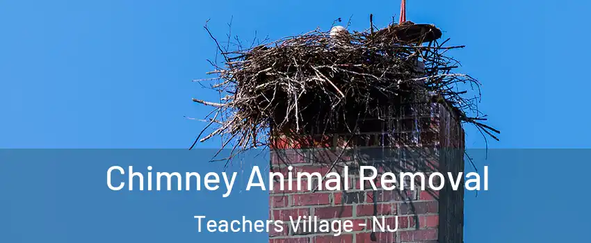 Chimney Animal Removal Teachers Village - NJ