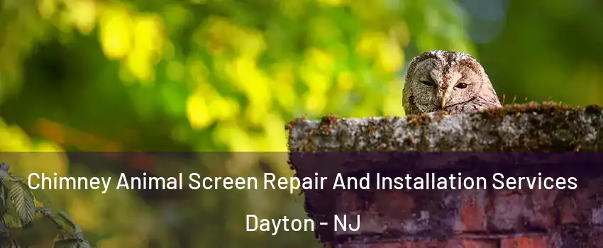 Chimney Animal Screen Repair And Installation Services Dayton - NJ