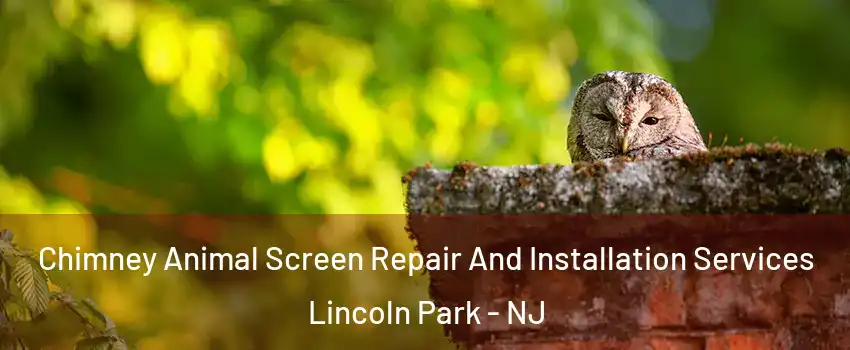 Chimney Animal Screen Repair And Installation Services Lincoln Park - NJ