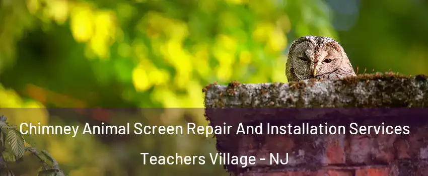 Chimney Animal Screen Repair And Installation Services Teachers Village - NJ