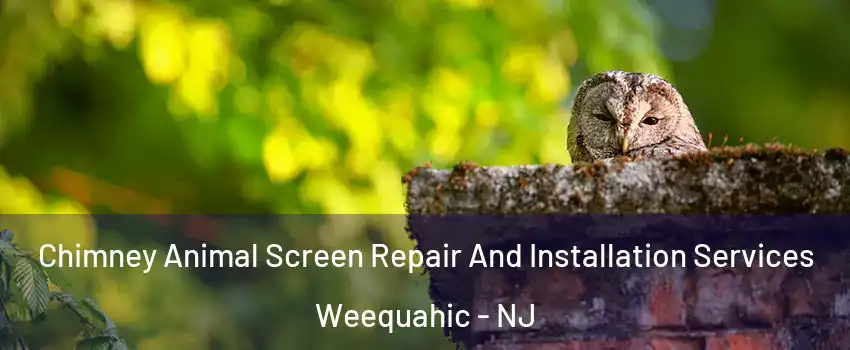 Chimney Animal Screen Repair And Installation Services Weequahic - NJ