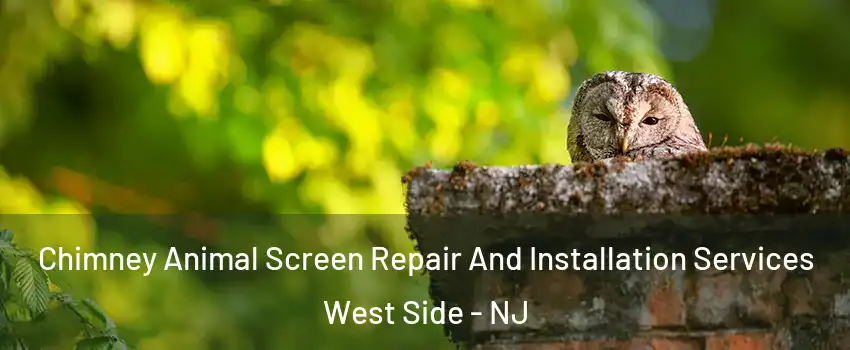 Chimney Animal Screen Repair And Installation Services West Side - NJ