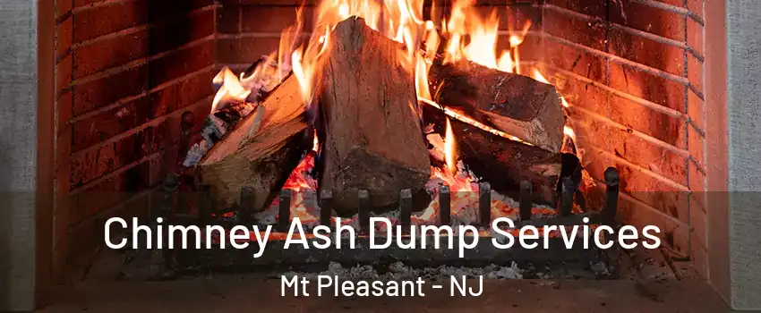 Chimney Ash Dump Services Mt Pleasant - NJ