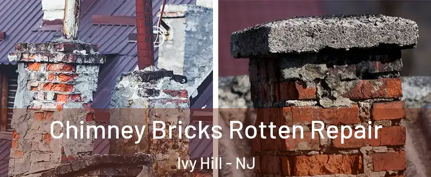 Chimney Bricks Rotten Repair Ivy Hill - NJ