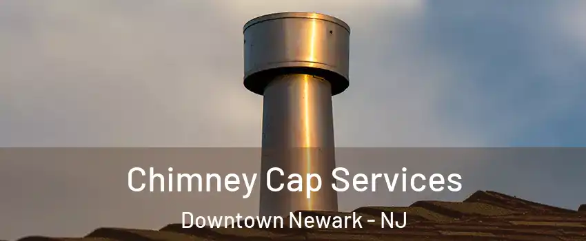 Chimney Cap Services Downtown Newark - NJ