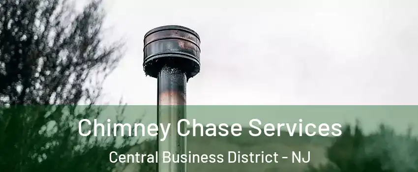 Chimney Chase Services Central Business District - NJ