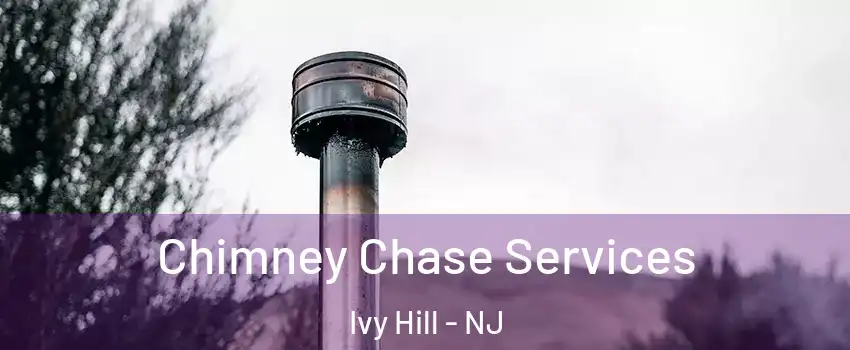 Chimney Chase Services Ivy Hill - NJ