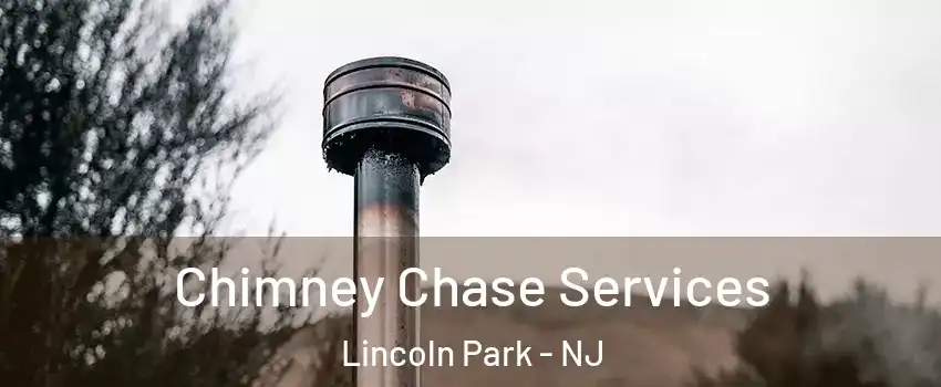 Chimney Chase Services Lincoln Park - NJ