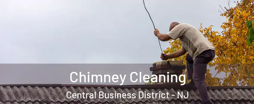 Chimney Cleaning Central Business District - NJ