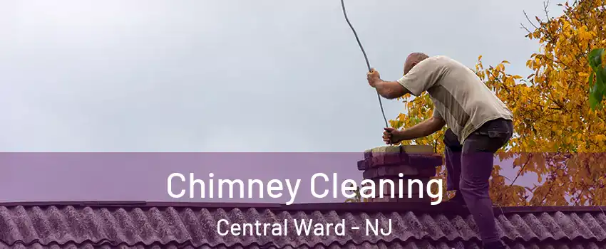 Chimney Cleaning Central Ward - NJ