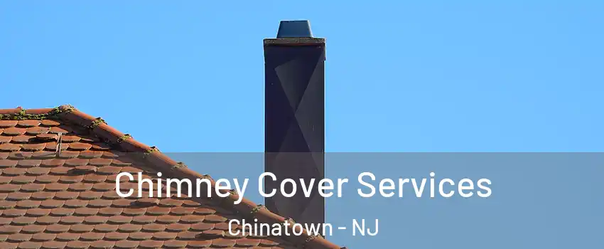 Chimney Cover Services Chinatown - NJ