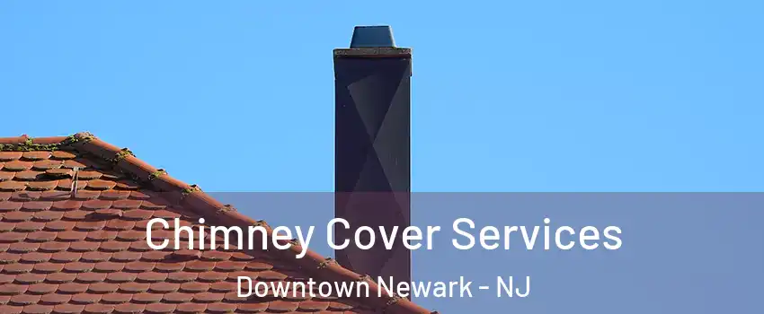 Chimney Cover Services Downtown Newark - NJ
