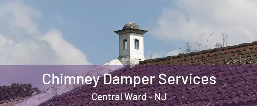 Chimney Damper Services Central Ward - NJ