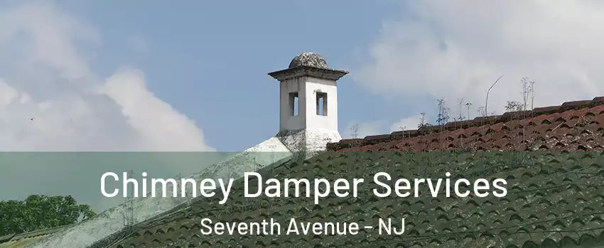 Chimney Damper Services Seventh Avenue - NJ