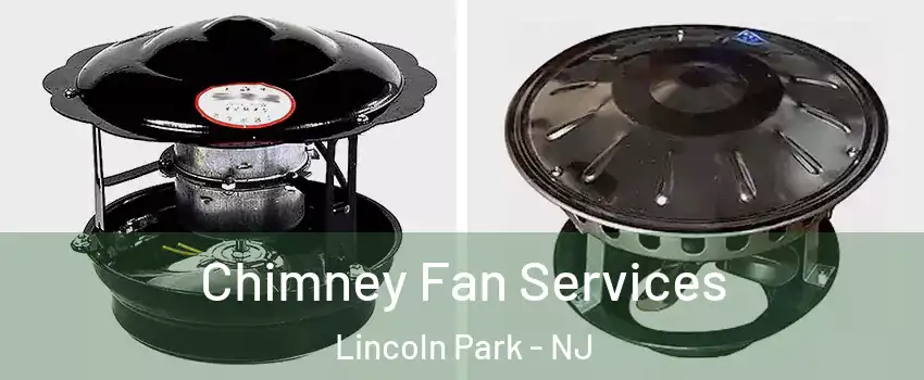 Chimney Fan Services Lincoln Park - NJ