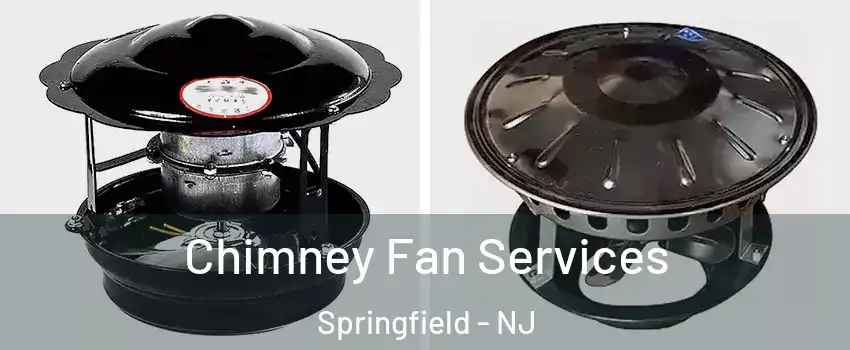 Chimney Fan Services Springfield - NJ