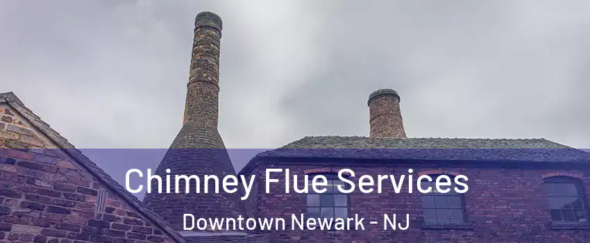 Chimney Flue Services Downtown Newark - NJ