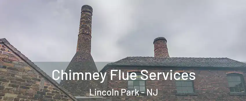 Chimney Flue Services Lincoln Park - NJ