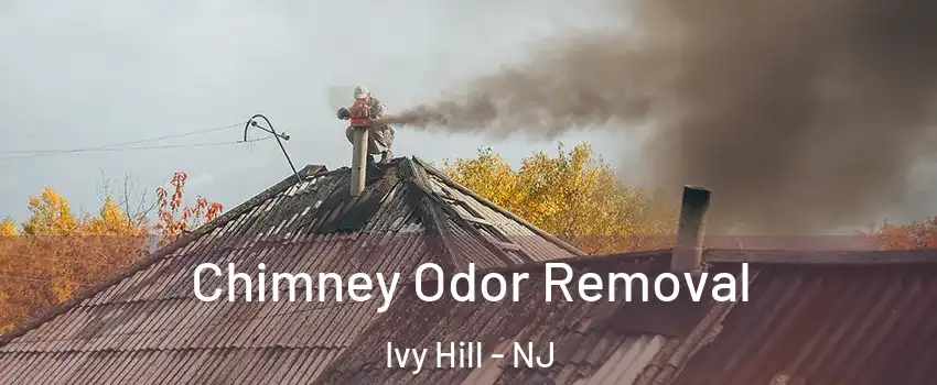 Chimney Odor Removal Ivy Hill - NJ