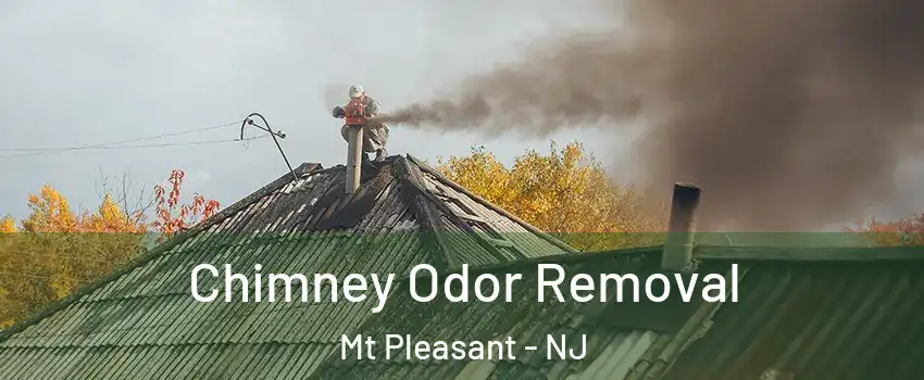 Chimney Odor Removal Mt Pleasant - NJ