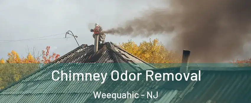 Chimney Odor Removal Weequahic - NJ