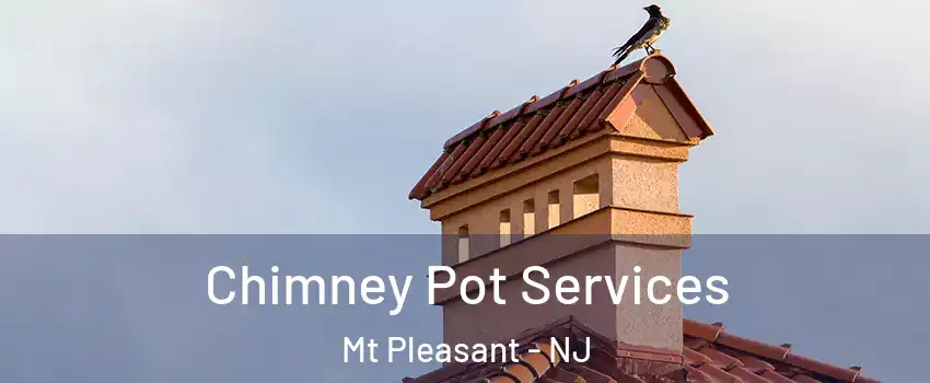 Chimney Pot Services Mt Pleasant - NJ