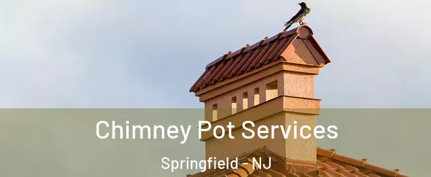 Chimney Pot Services Springfield - NJ