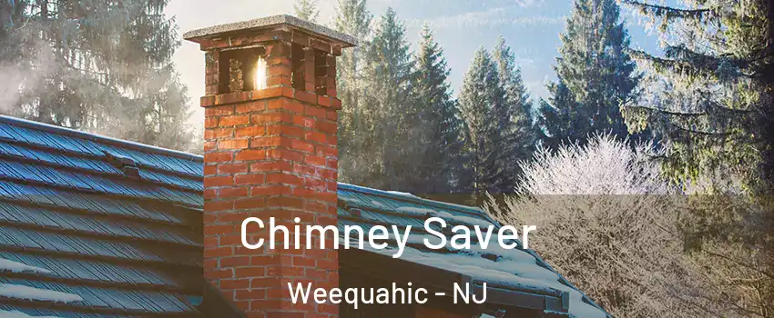 Chimney Saver Weequahic - NJ