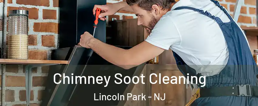 Chimney Soot Cleaning Lincoln Park - NJ