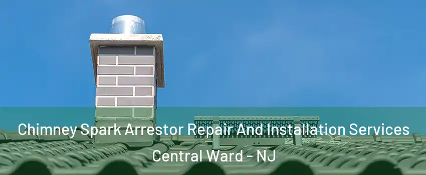 Chimney Spark Arrestor Repair And Installation Services Central Ward - NJ