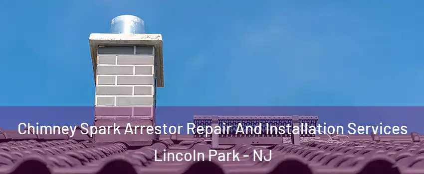 Chimney Spark Arrestor Repair And Installation Services Lincoln Park - NJ