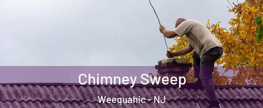 Chimney Sweep Weequahic - NJ