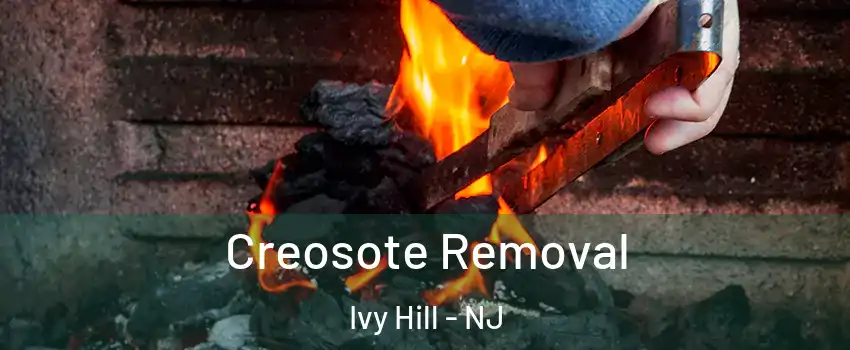 Creosote Removal Ivy Hill - NJ