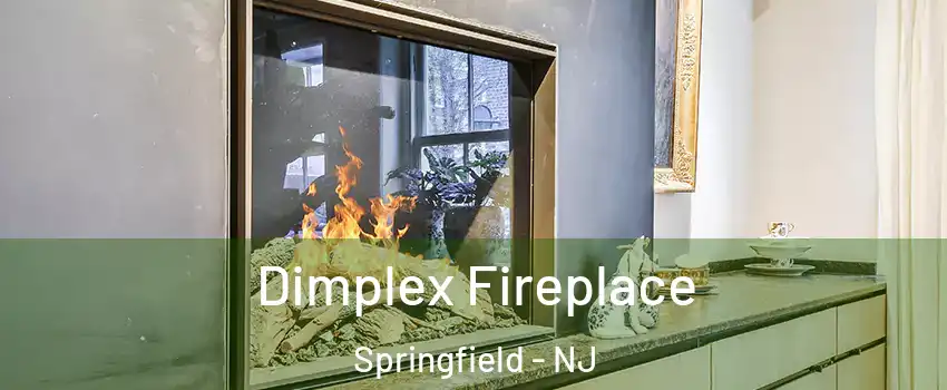 Dimplex Fireplace Springfield - NJ