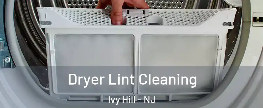 Dryer Lint Cleaning Ivy Hill - NJ