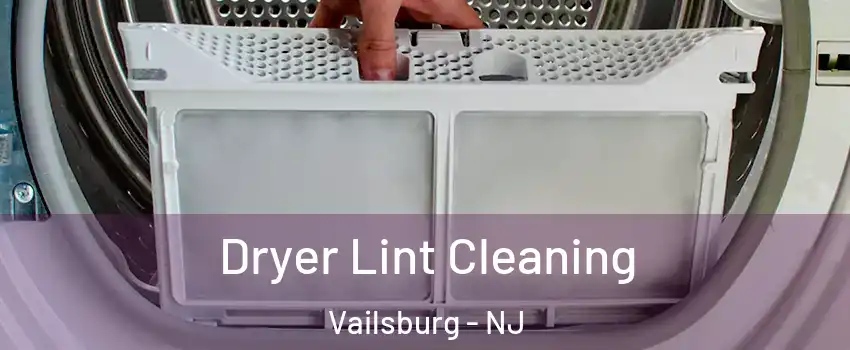 Dryer Lint Cleaning Vailsburg - NJ