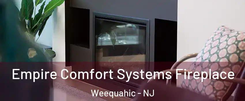 Empire Comfort Systems Fireplace Weequahic - NJ