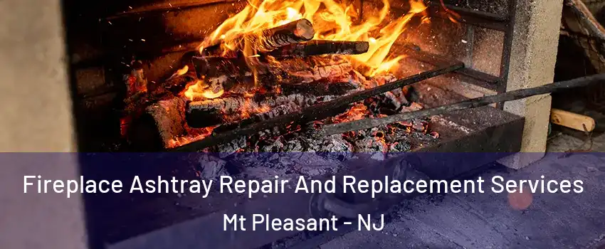 Fireplace Ashtray Repair And Replacement Services Mt Pleasant - NJ