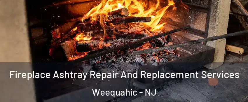 Fireplace Ashtray Repair And Replacement Services Weequahic - NJ