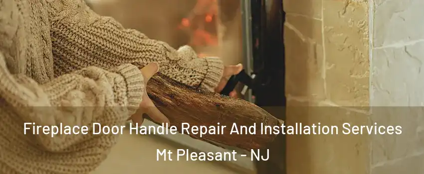 Fireplace Door Handle Repair And Installation Services Mt Pleasant - NJ