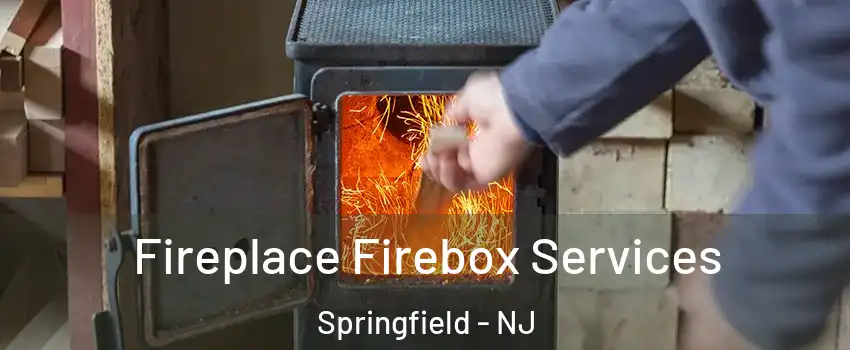 Fireplace Firebox Services Springfield - NJ