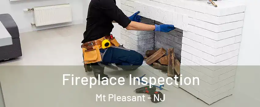 Fireplace Inspection Mt Pleasant - NJ