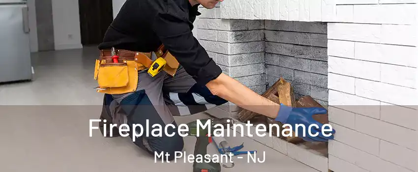 Fireplace Maintenance Mt Pleasant - NJ