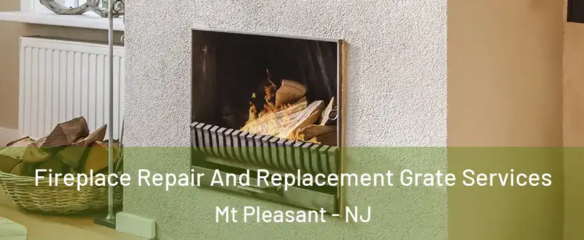 Fireplace Repair And Replacement Grate Services Mt Pleasant - NJ