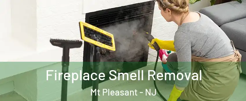 Fireplace Smell Removal Mt Pleasant - NJ